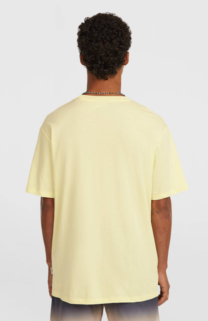 Men O'Neill Muir T-shirt