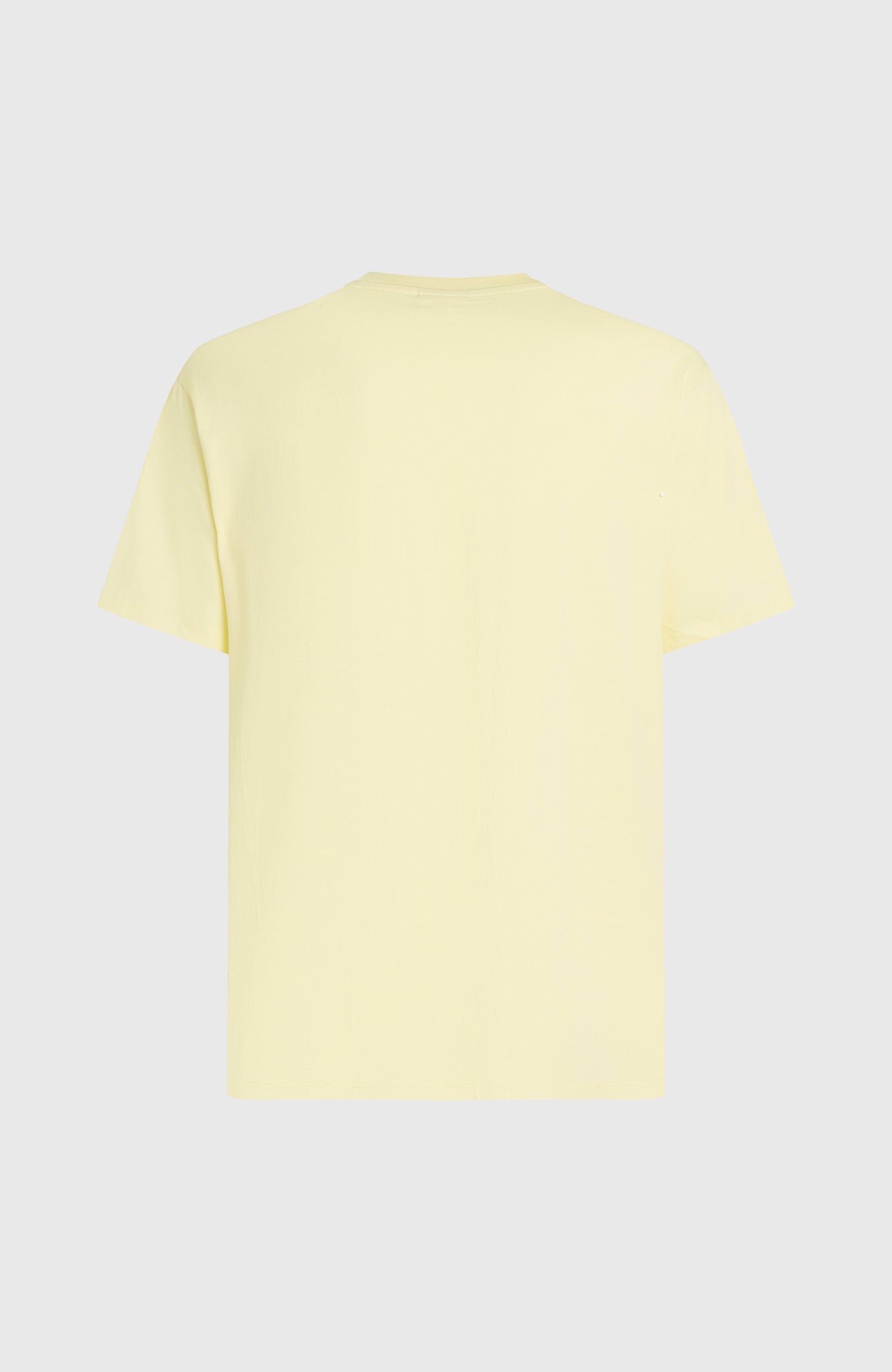 Men O'Neill Muir T-shirt