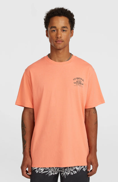 Men Melange Chest Print T-Shirt