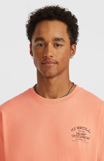 Men Melange Chest Print T-Shirt