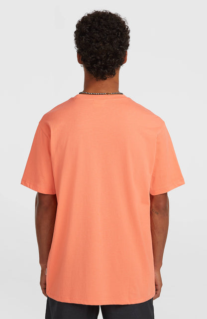 Men Melange Chest Print T-Shirt
