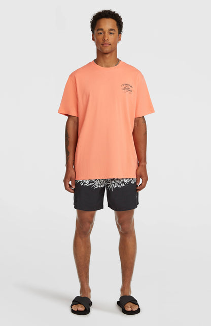 Men Melange Chest Print T-Shirt