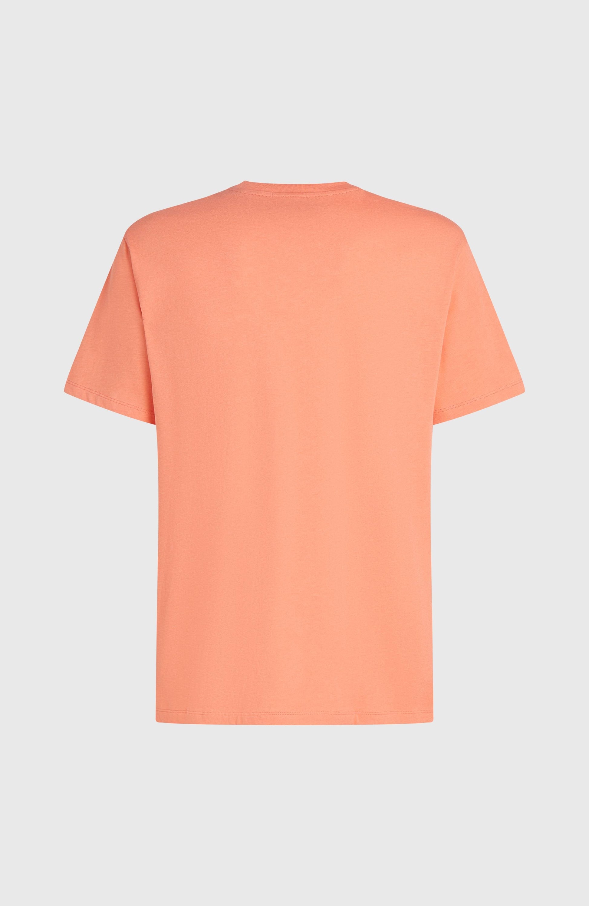 Men Melange Chest Print T-Shirt