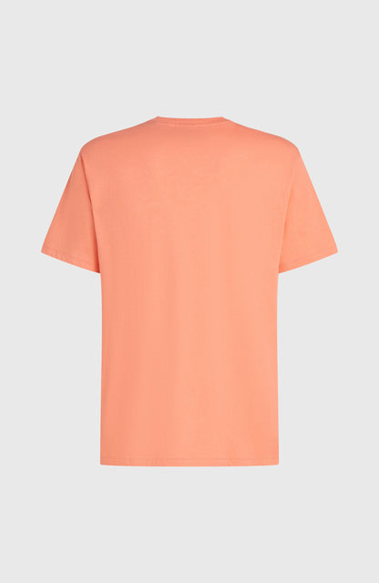 Men Melange Chest Print T-Shirt