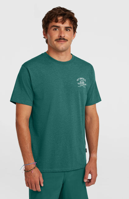 Men Melange Chest Print T-Shirt
