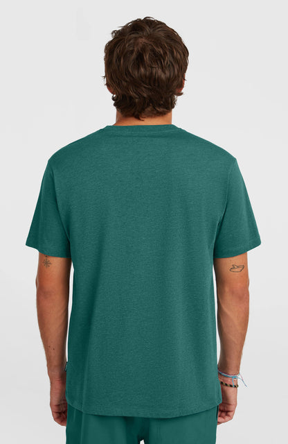 Men Melange Chest Print T-Shirt