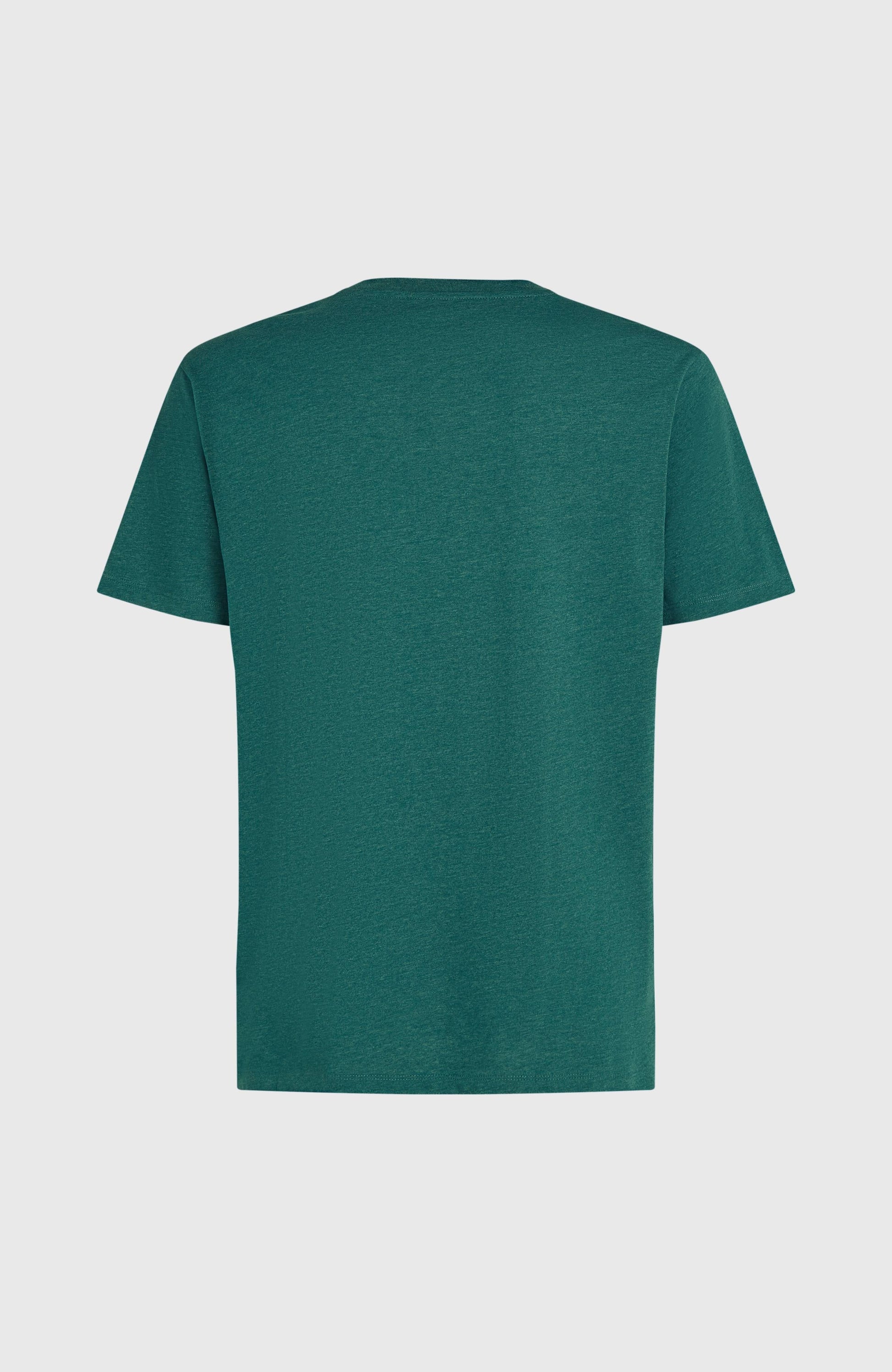 Men Melange Chest Print T-Shirt