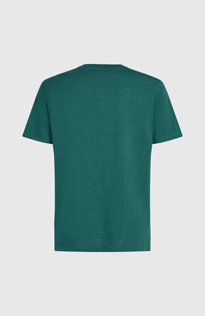 Men Melange Chest Print T-Shirt