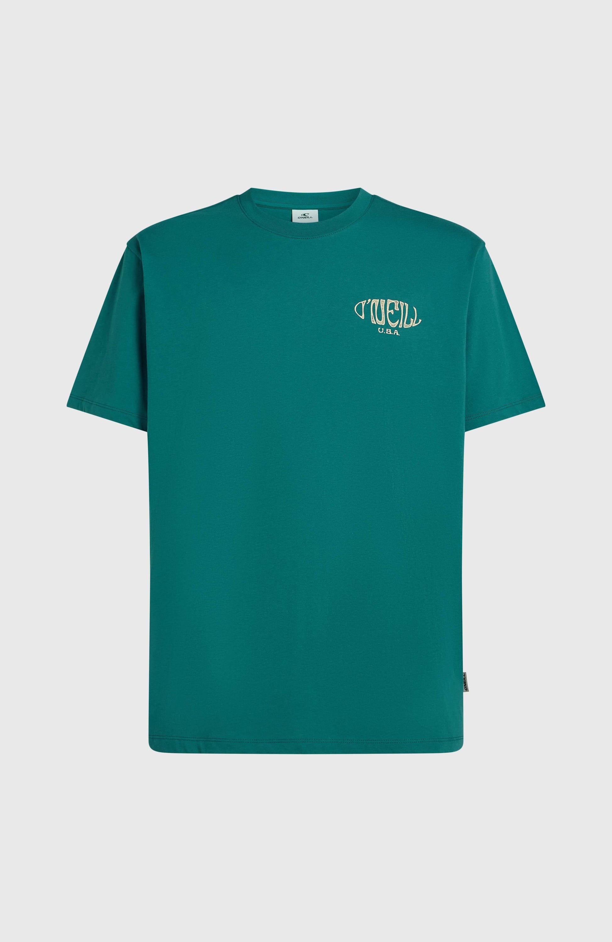 Men Box Logo T-Shirt