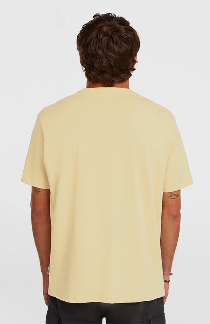 Men Melange Chest Print T-Shirt