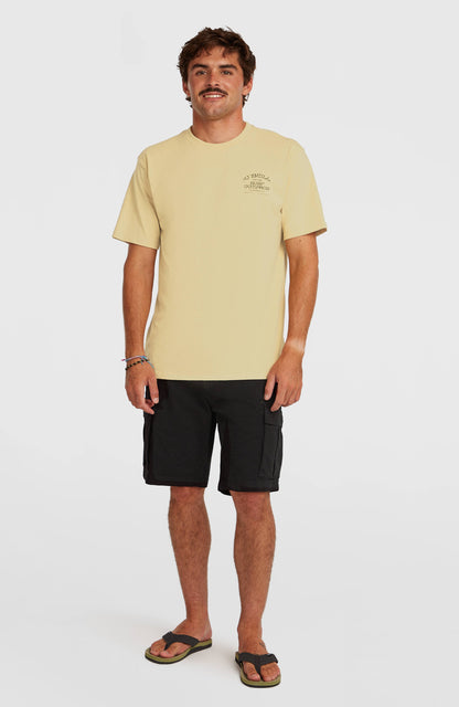 Men Melange Chest Print T-Shirt
