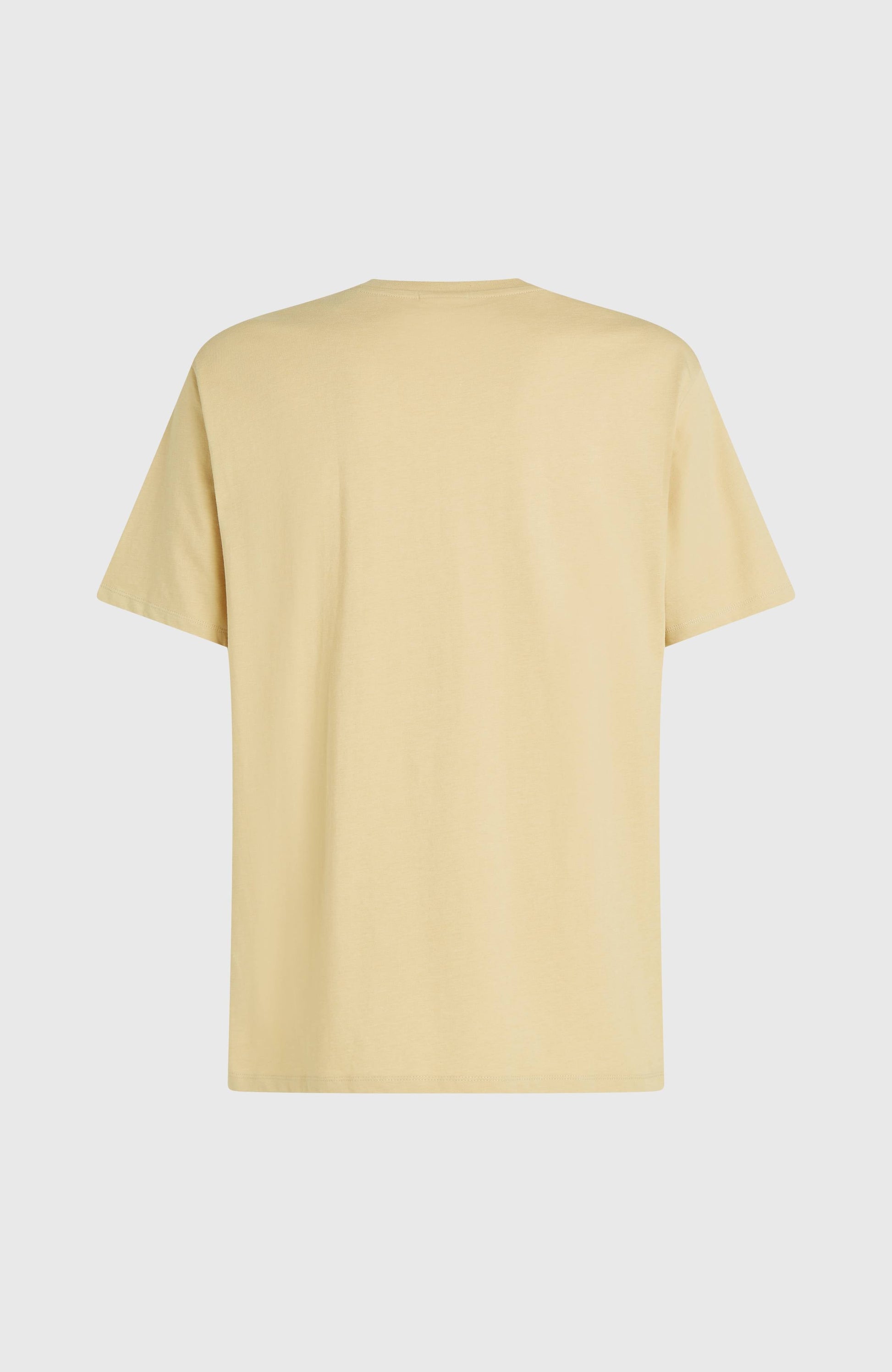 Men Melange Chest Print T-Shirt