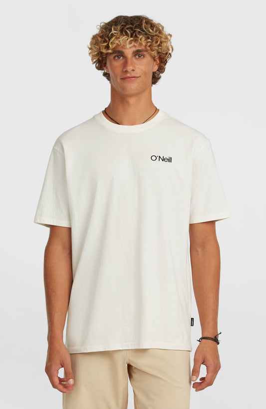 Men Polygiene Cotton Graphic T-Shirt