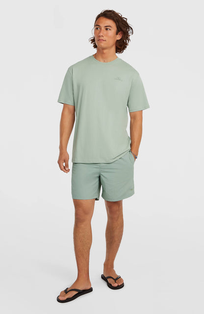 Men O'Neill Small Logo T-Shirt