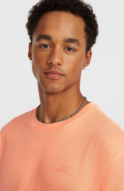 Men O'Neill Small Logo T-Shirt