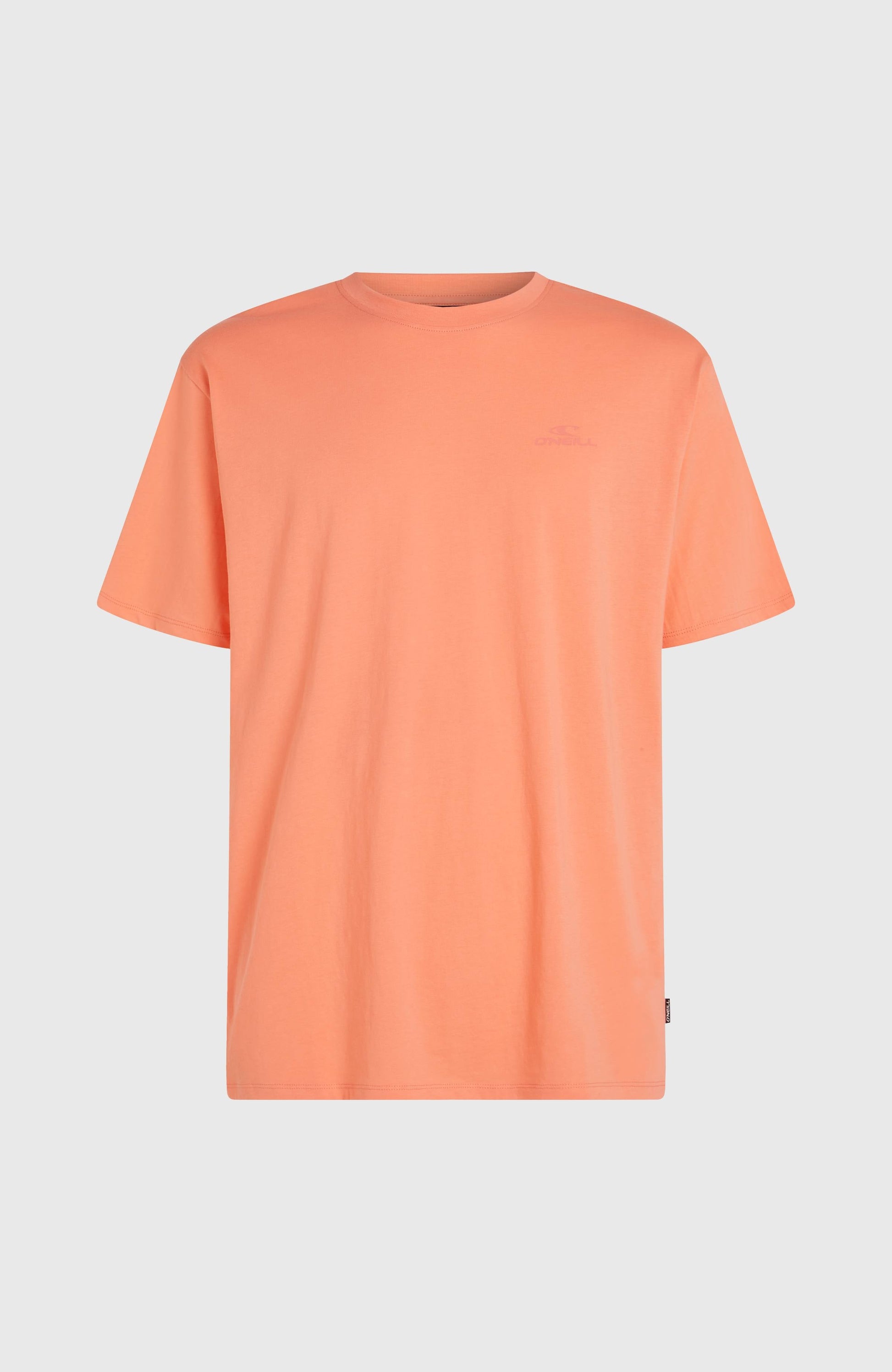 Men O'Neill Small Logo T-Shirt
