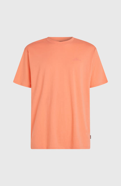 Men O'Neill Small Logo T-Shirt