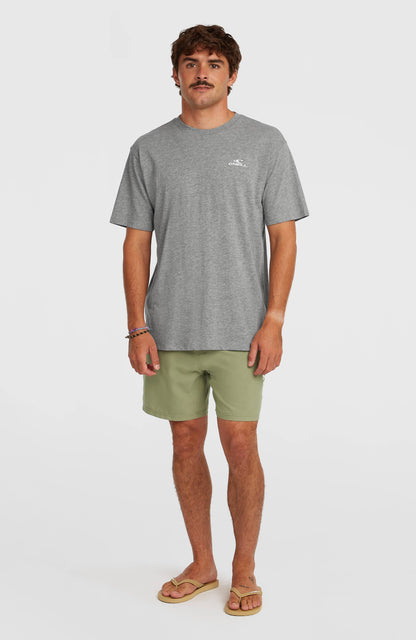 Men O'Neill Small Logo T-Shirt