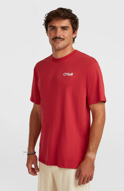 Men Polygiene Cotton Graphic T-Shirt