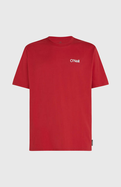 Men Polygiene Cotton Graphic T-Shirt