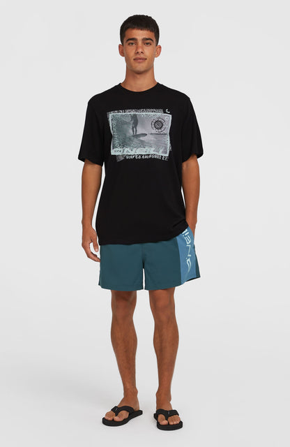Men Photo Print T-Shirt