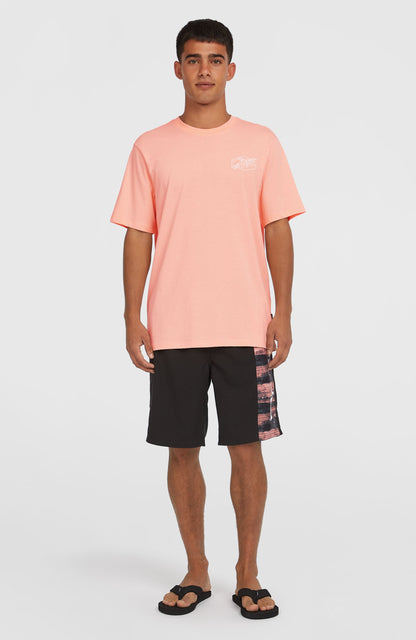 Men Box Logo T-Shirt