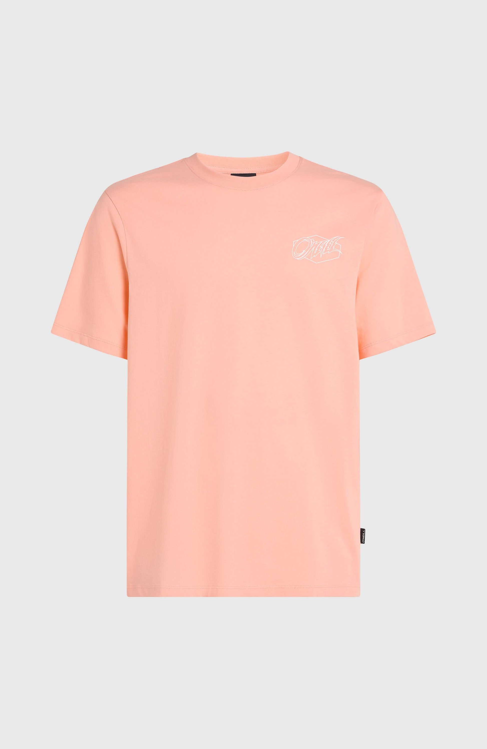 Men Box Logo T-Shirt