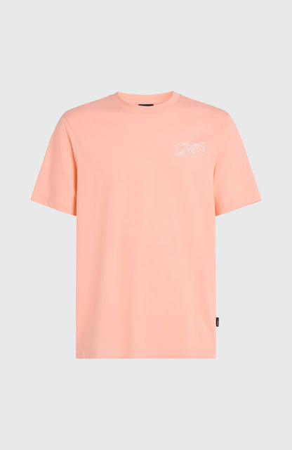 Men Box Logo T-Shirt