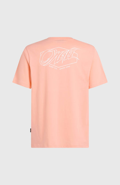 Men Box Logo T-Shirt