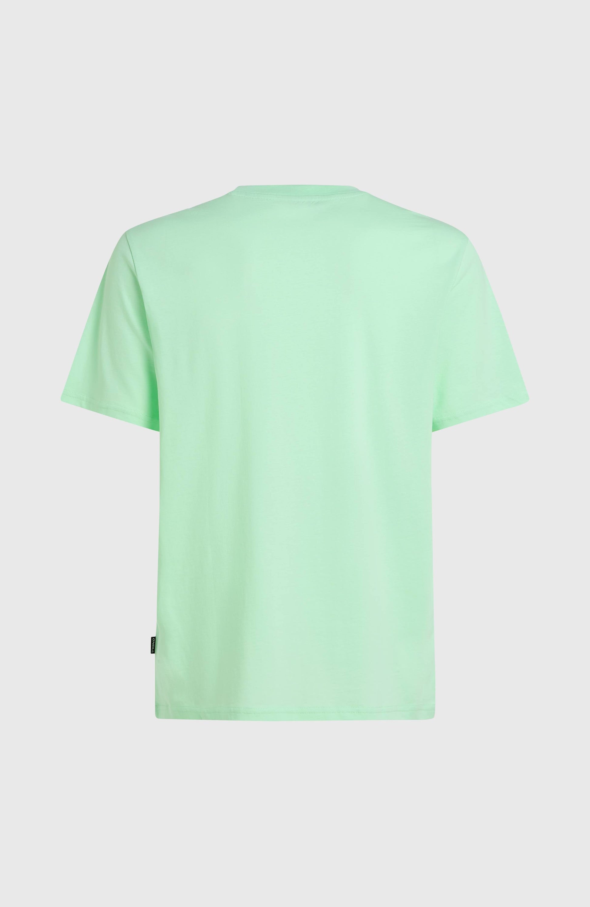 Men Jack O'Neill Muir T-Shirt