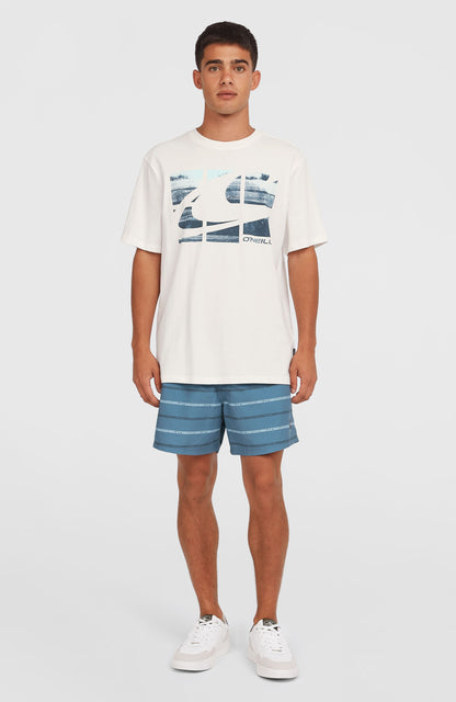Men Gradient T-Shirt