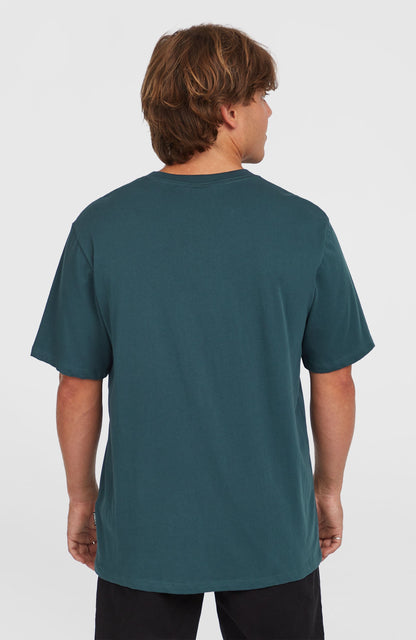 Men Chest Print T-Shirt
