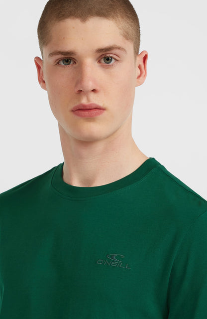 Men Small Logo T-Shirt