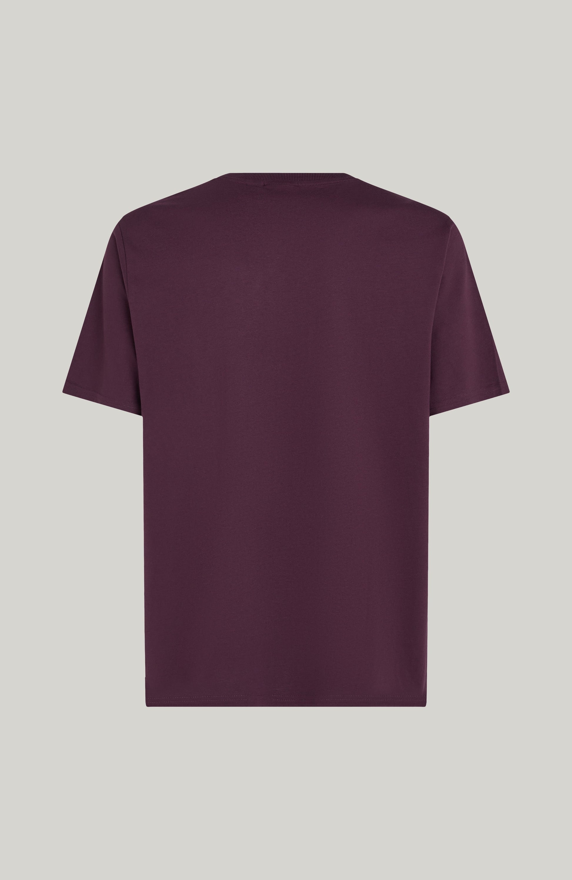 Men Future Surf Society T-Shirt