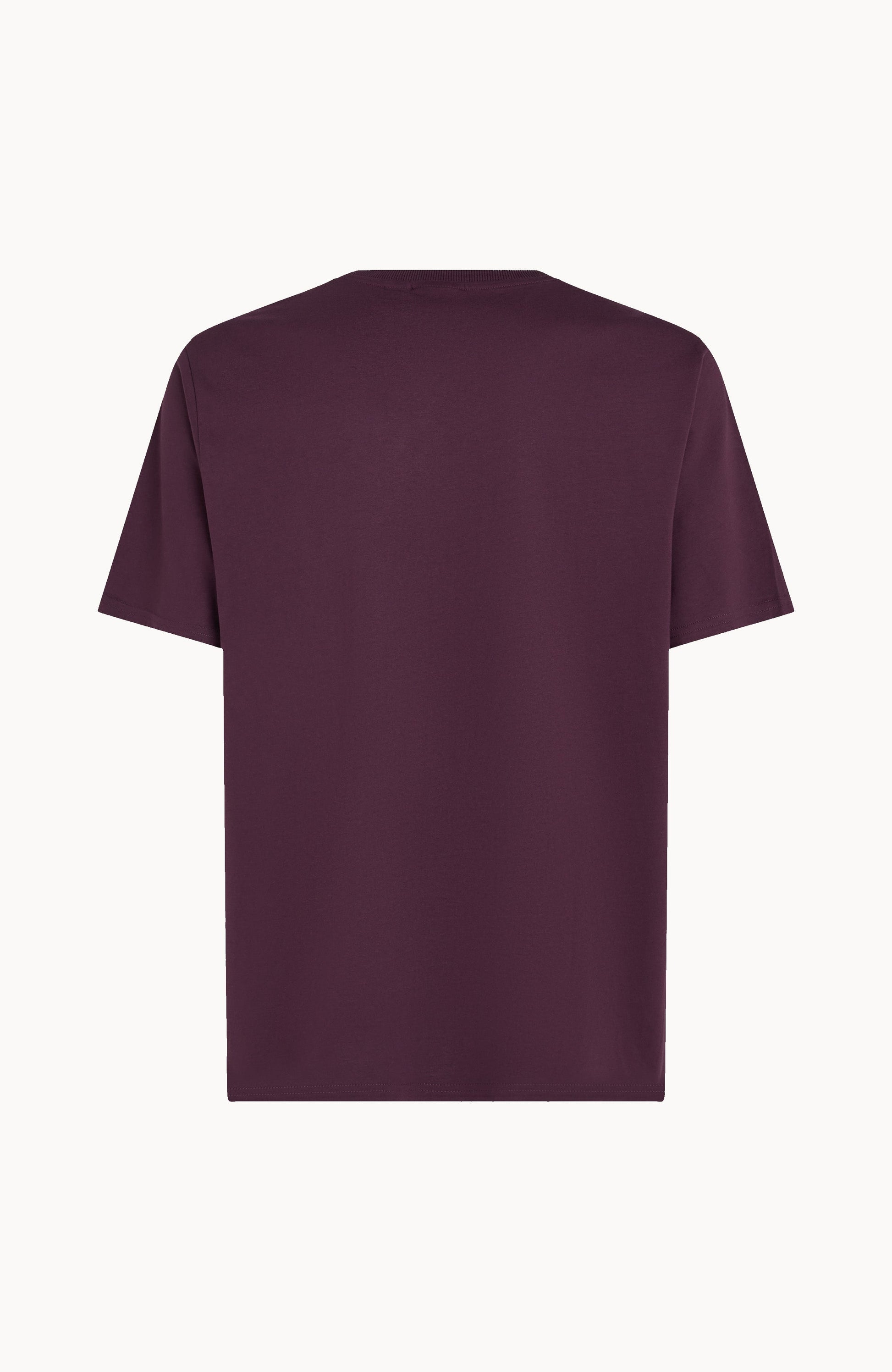 Men Future Surf Society T-Shirt