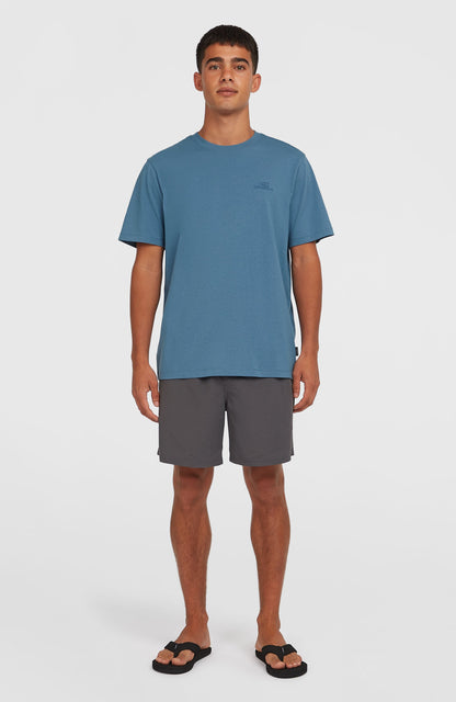 Men Small Logo T-Shirt