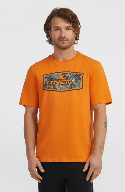 Men Graphic T-Shirt
