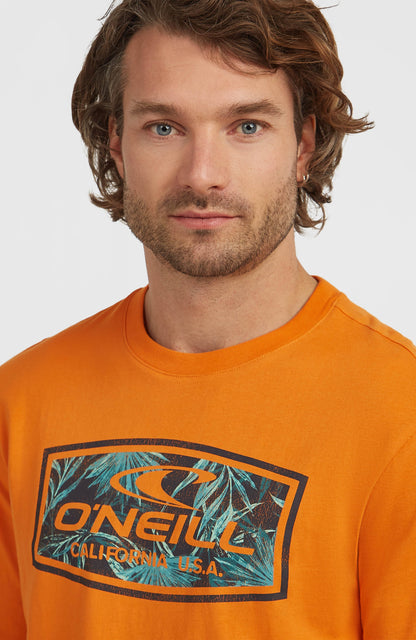 Men Graphic T-Shirt