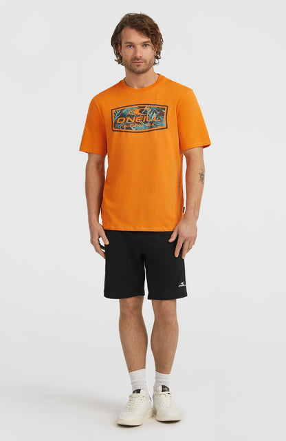 Men Graphic T-Shirt