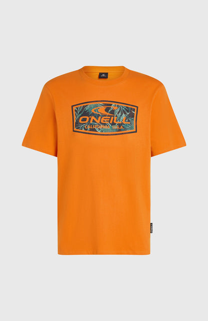 Men Graphic T-Shirt