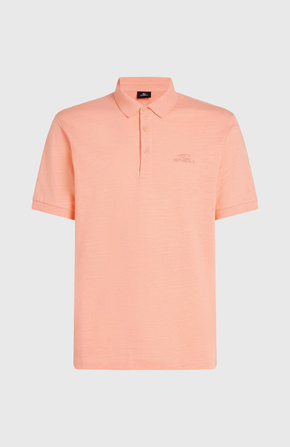 Men Slub Small Logo Polo