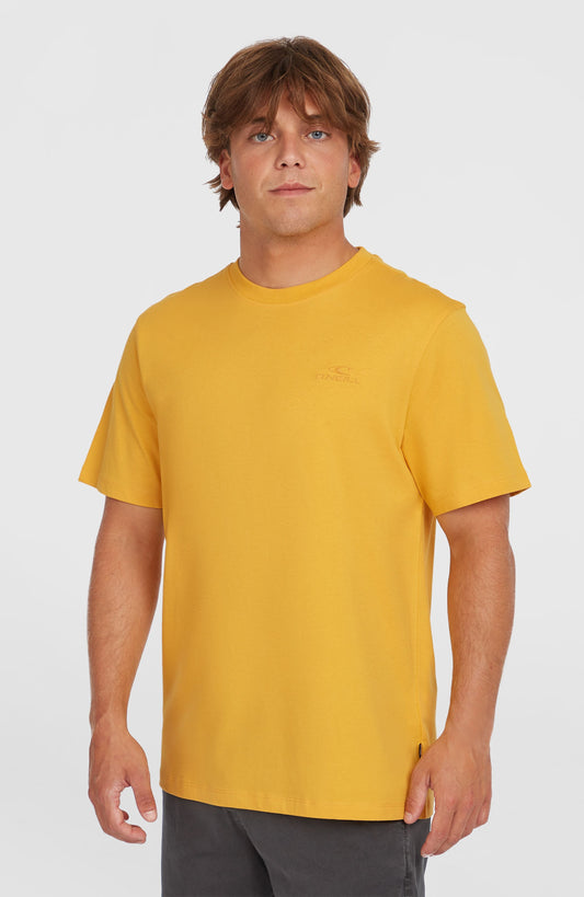 Men Small Logo T-Shirt