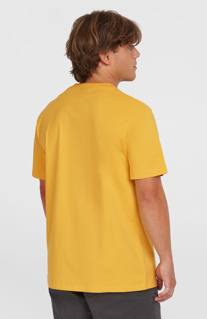 Men Small Logo T-Shirt