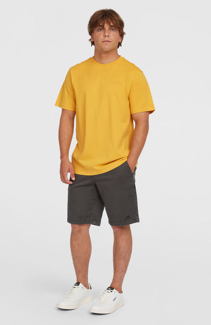 Men Small Logo T-Shirt