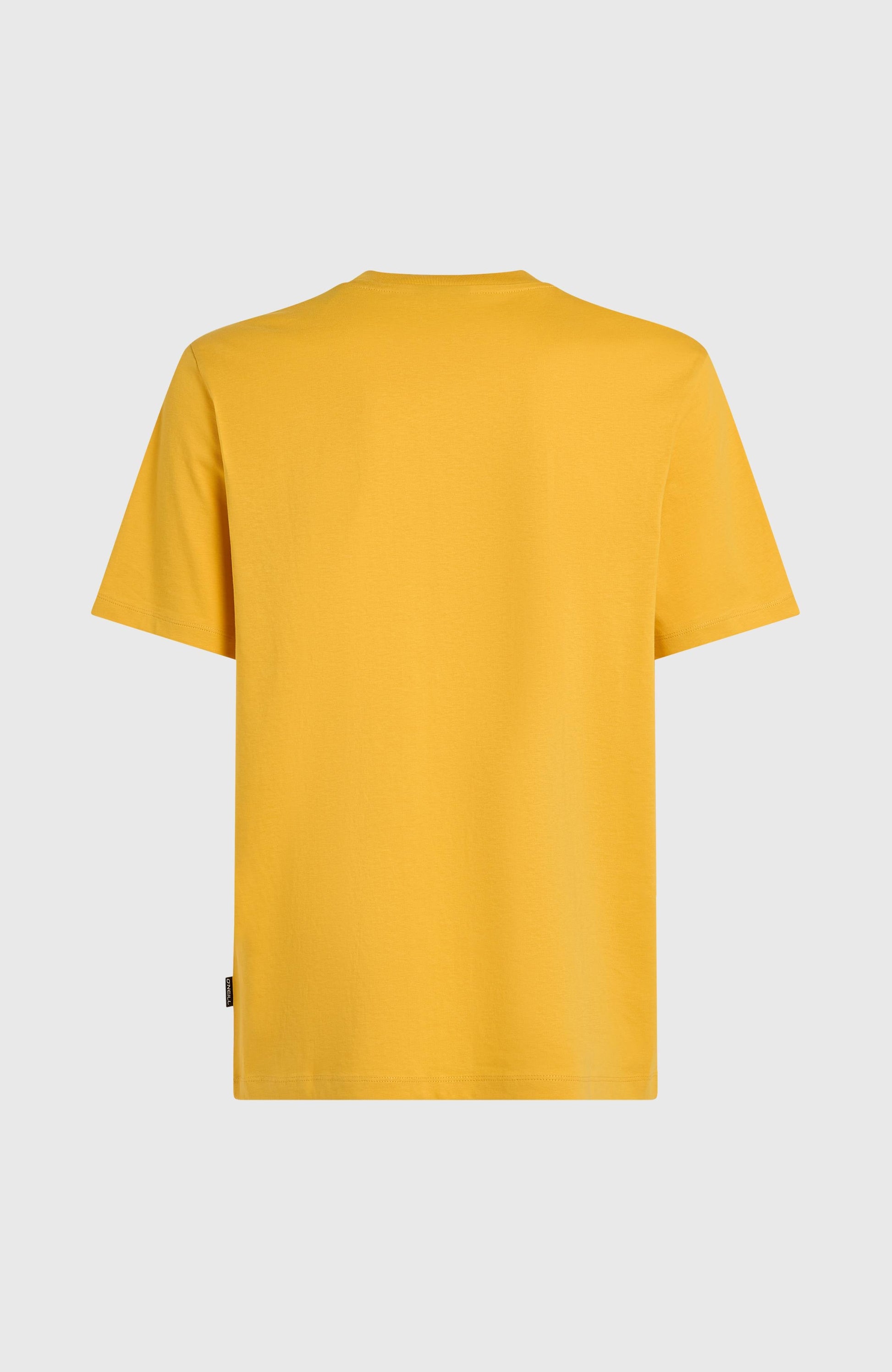 Men Small Logo T-Shirt