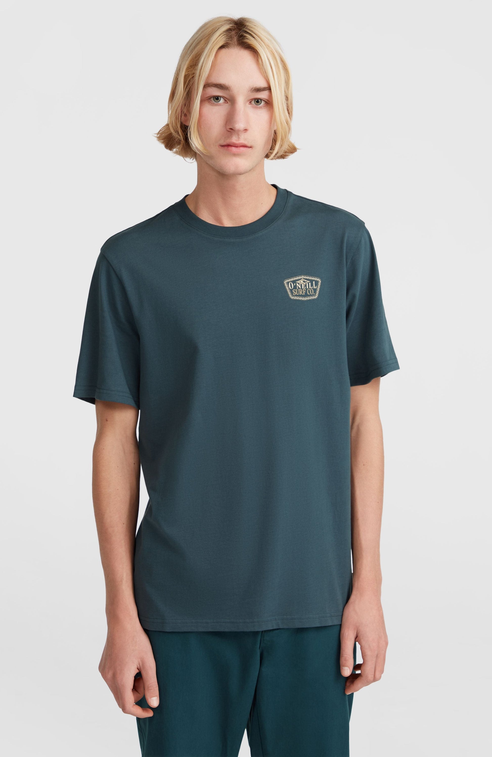 Men Small Chest Print T-Shirt