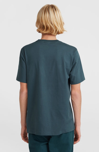 Men Small Chest Print T-Shirt