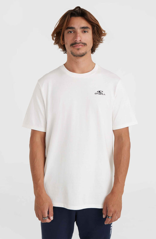 Men O'Neill Small Logo T-Shirt