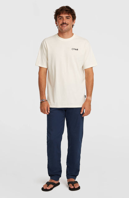 Men Essentials Chino Pants