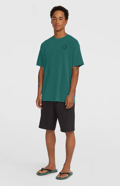 Men Hybrid 19" Shorts